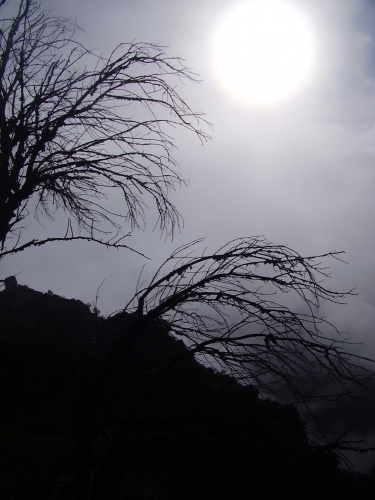 BENEATH SUN AND MIST