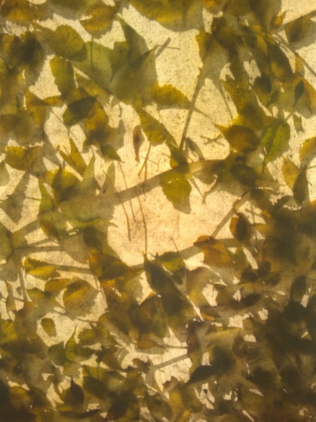 THE NEW AESTHETICA 1