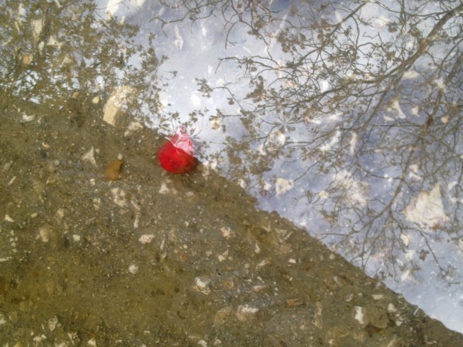 VINTERFÄLLD 1 SIGFRIDSSON