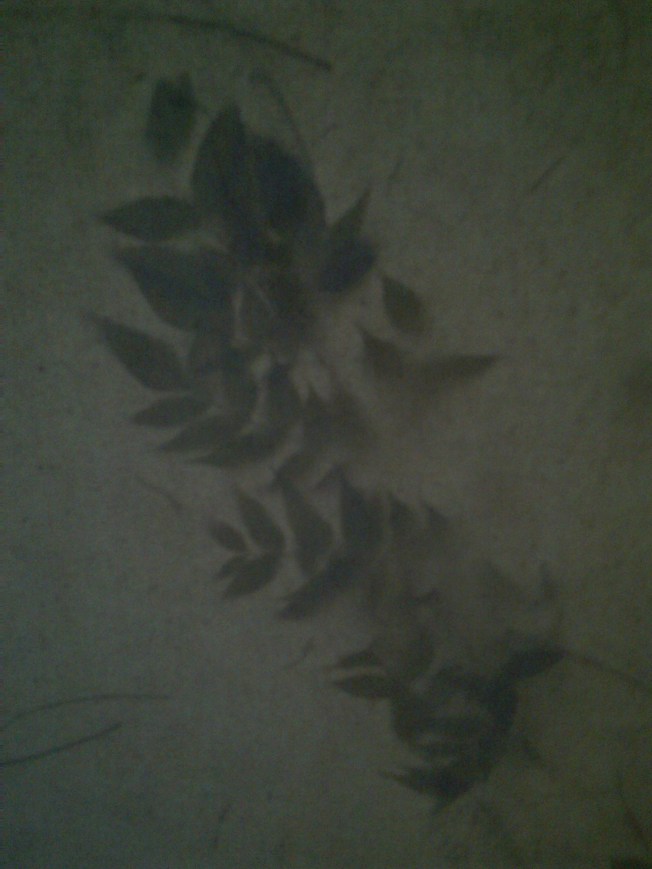 THE NEW AESTHETICA 2