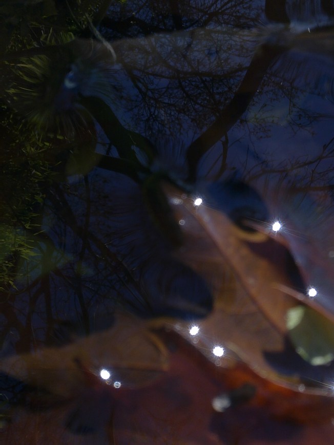 AESTHETICA 1 SIGFRIDSSON