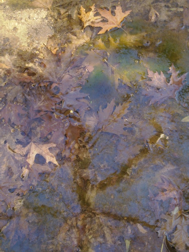 AESTHETICA 1 SIGFRIDSSON