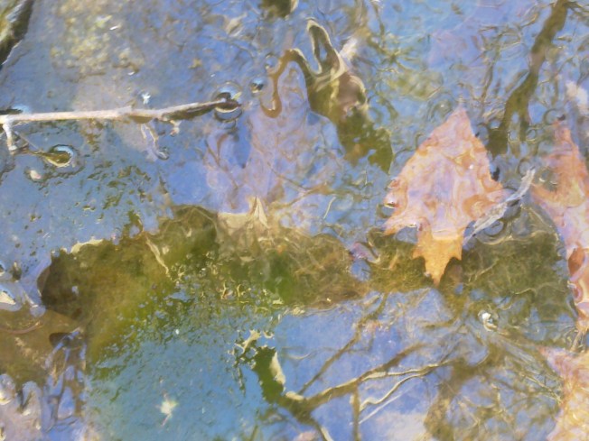 WATER MIRRORING 1 SIGFRIDSSON