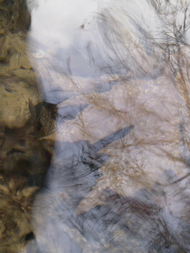 WATER MIRRORING 1 SIGFRIDSSON