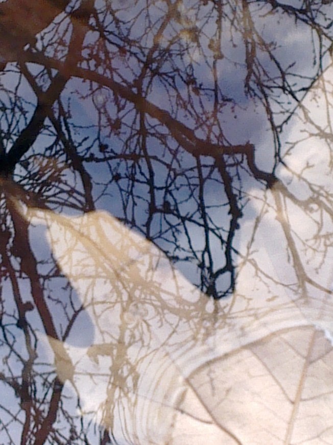 WATER MIRRORING 1 SIGFRIDSSON