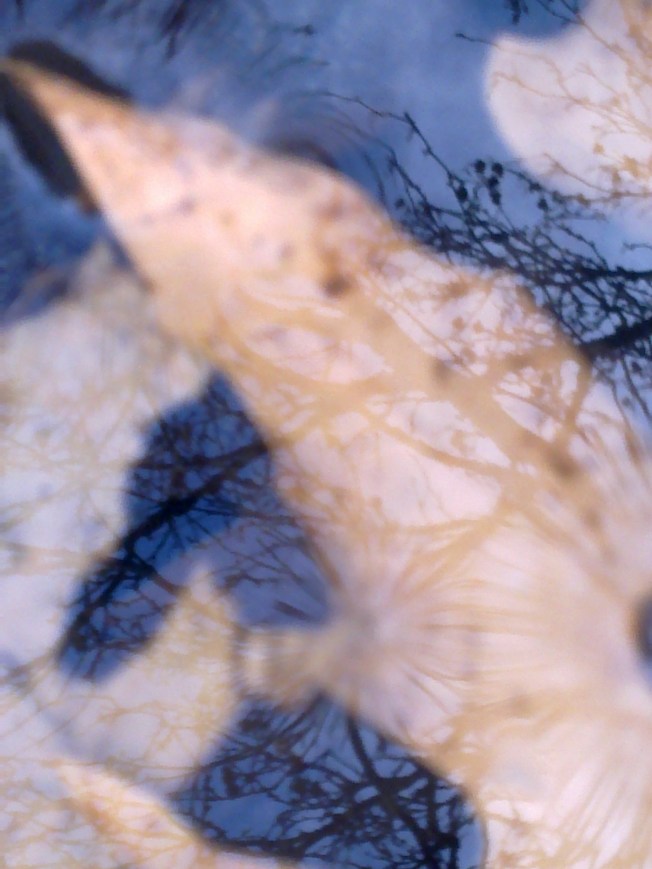 AESTHETICA 1 SIGFRIDSSON