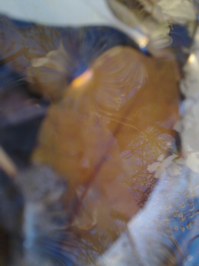 WATER MIRRORING 1 SIGFRIDSSON