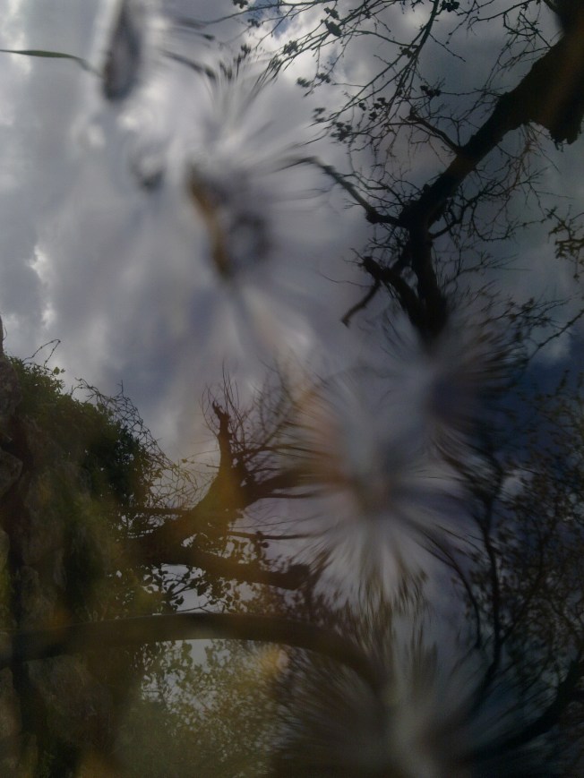 WATER MIRRORING 1 SIGFRIDSSON