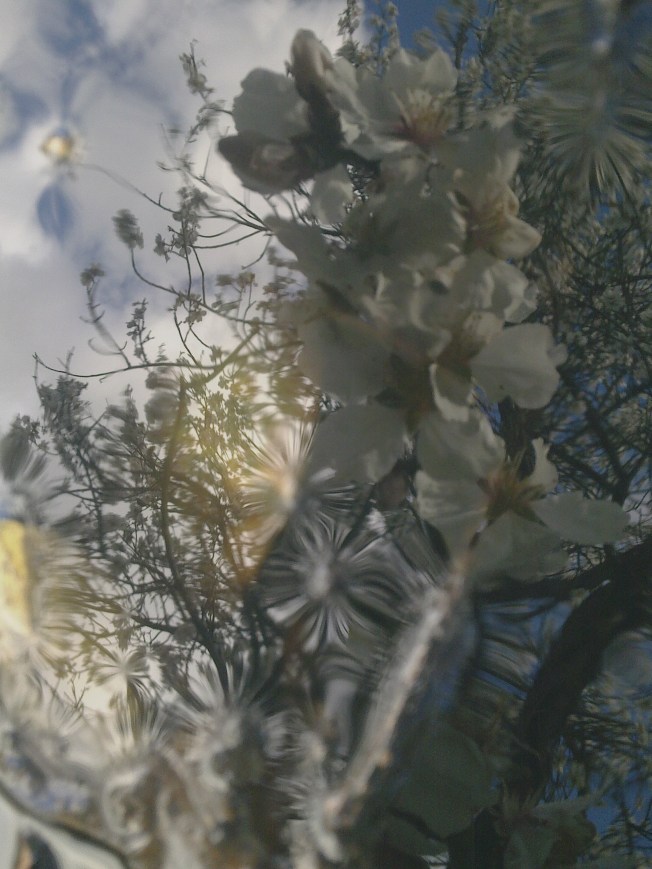 WATER MIRRORING 1 SIGFRIDSSON