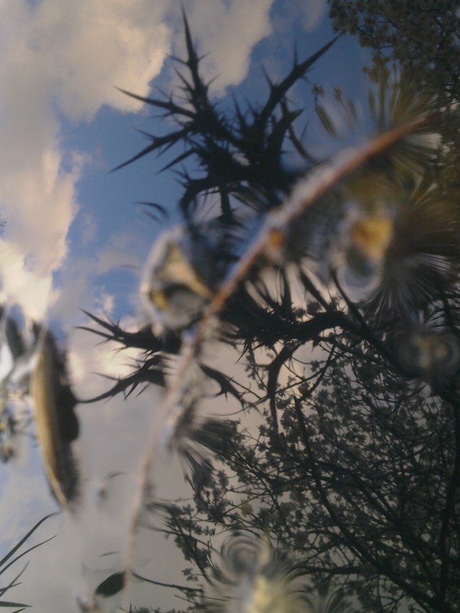 WATER MIRRORING 1 SIGFRIDSSON