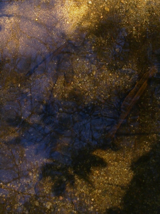 TRADITIONAL WATER MIRRORING 3