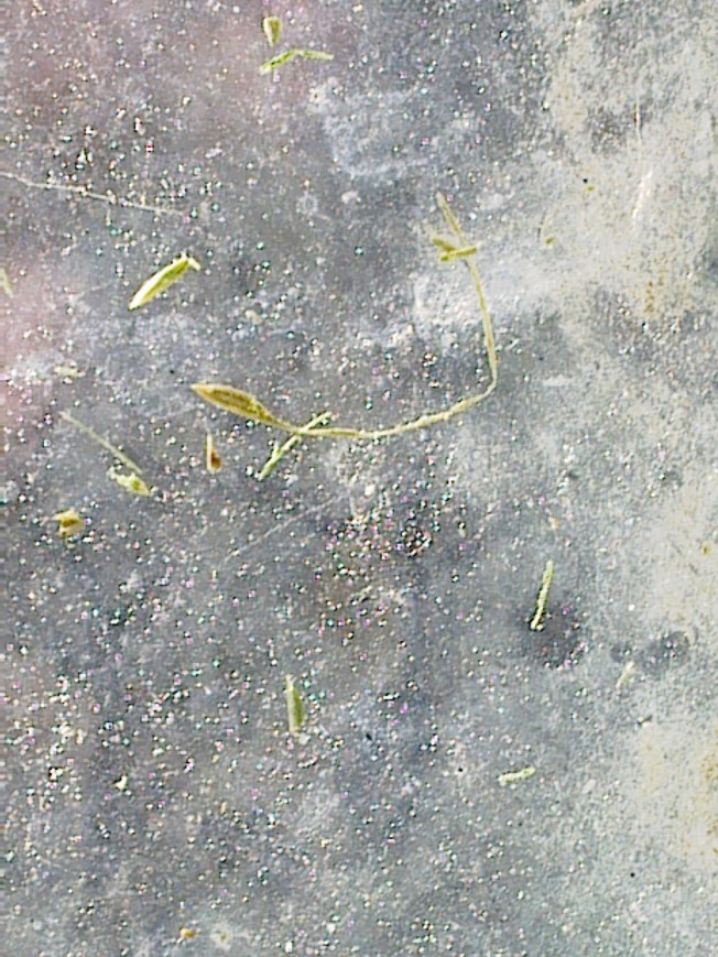 UNIVERSAL ART STUDIES 3