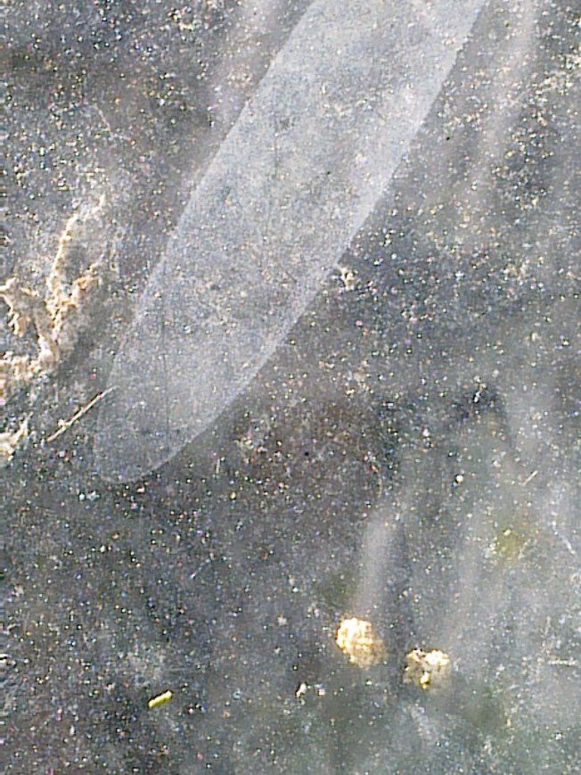 UNIVERSAL ART STUDIES 1