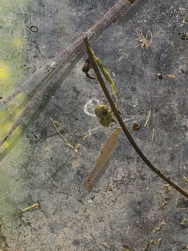 UNIVERSAL ART STUDIES II 2