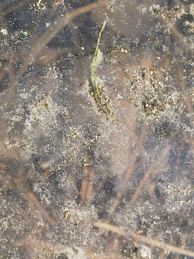 UNIVERSAL ART STUDIES IIII 2