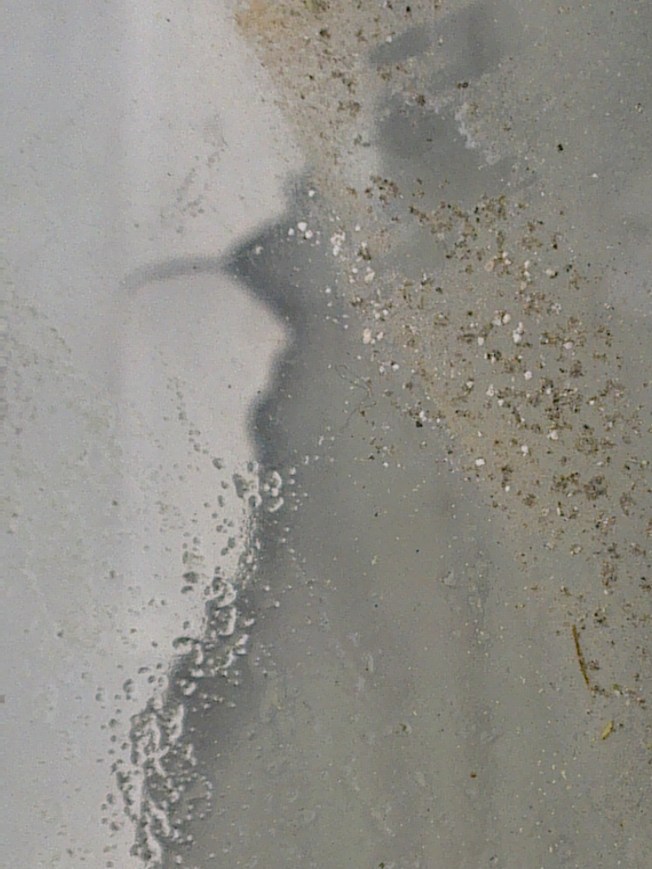 UNIVERSAL ART STUDIES IIIII 3