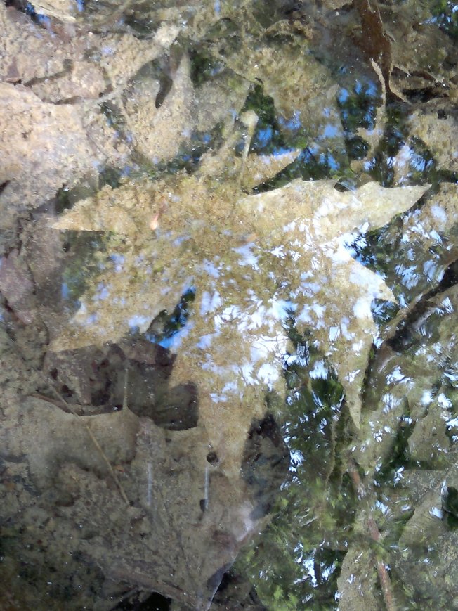 IN YET ANOTHER AUTUMNFALL