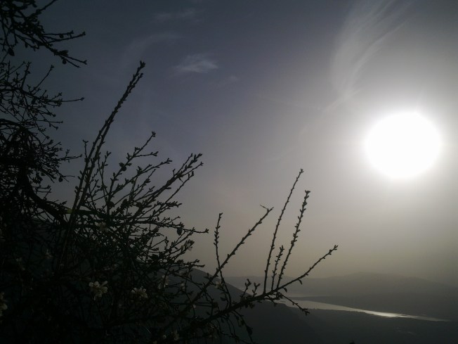 ...SUN FROM TODAY ON II