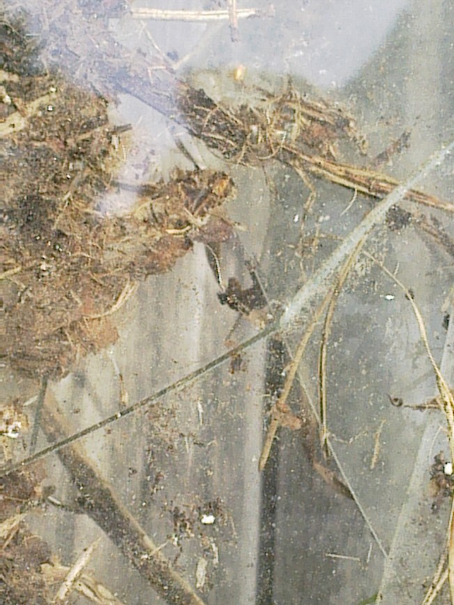 UNIVERSAL ART STUDIES IIIIIII 1