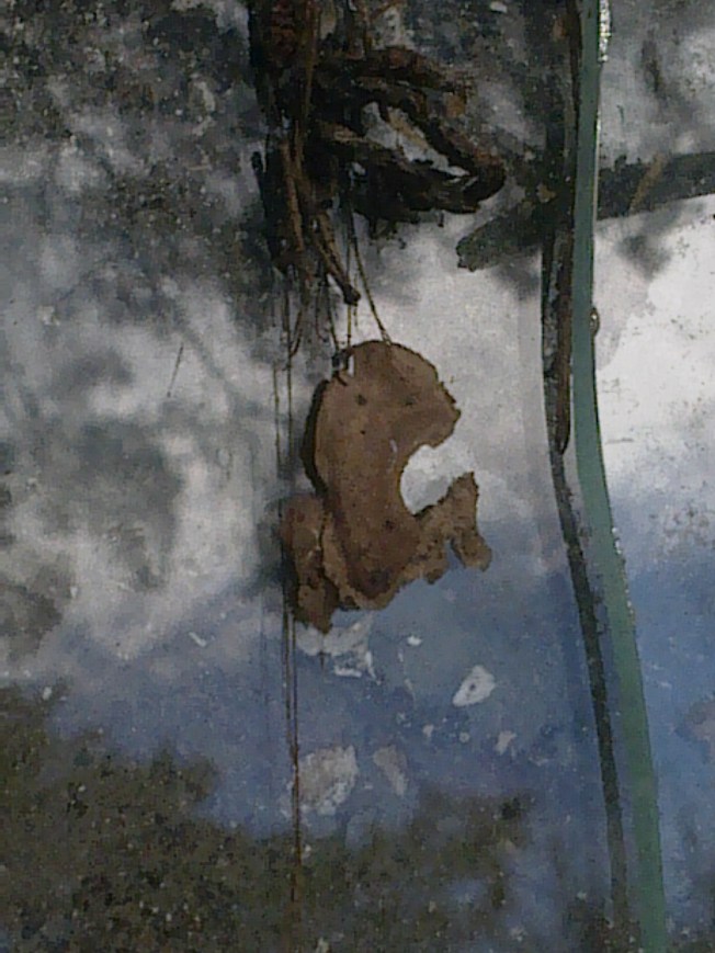 UNIVERSAL ART STUDIES IIIIIII 2