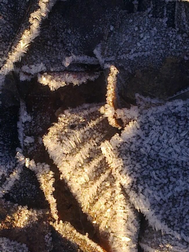 UNDER A NOVEMBER FROST MOON 1