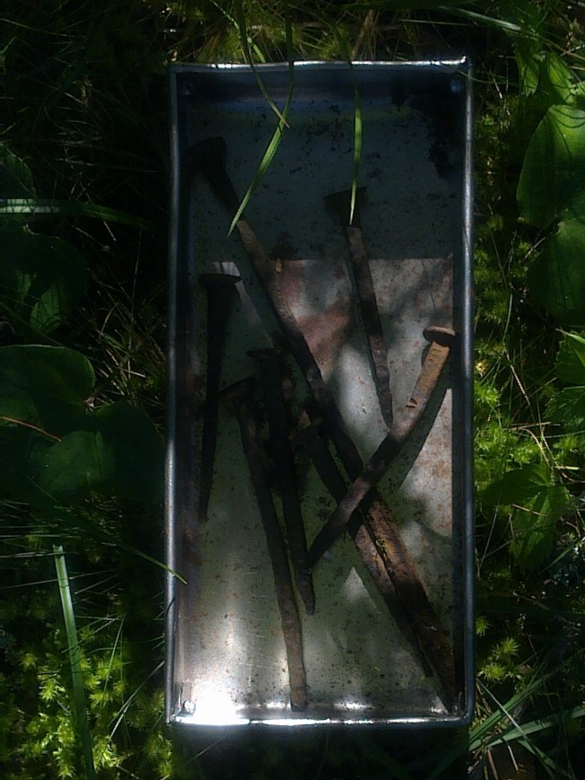 DIFFERENT INCH NAILS 2