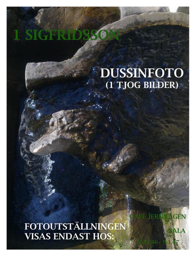 1 SIGFRIDSSON DUSSINFOTO (1 TJOG BILDER)
