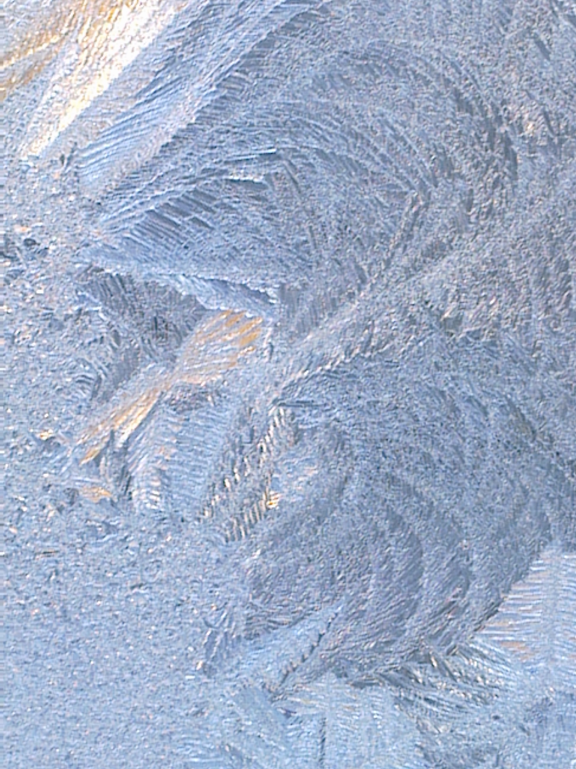 COLD CONFRONTATION 1