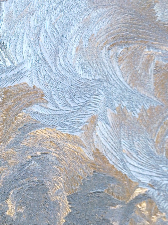 COLD CONFRONTATION 2