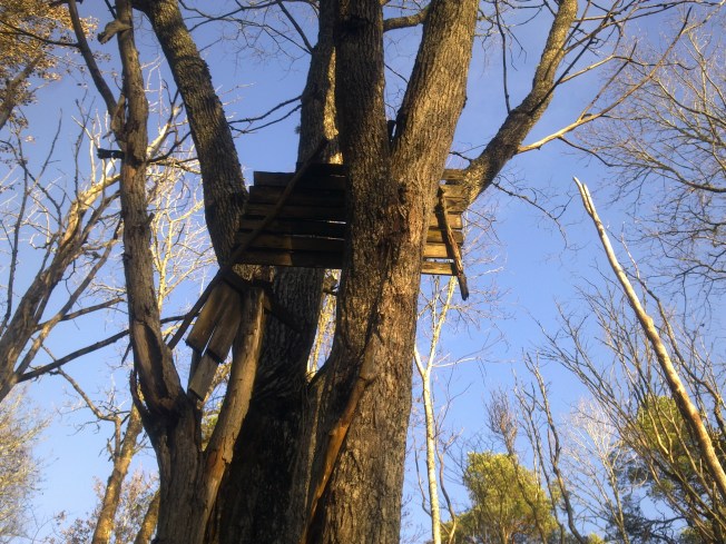 VID FASTSLAGNA MISSTAG