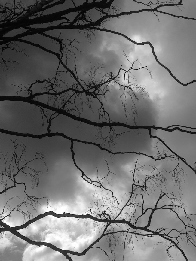 HANGED UPON WISHED FOR BRANCH