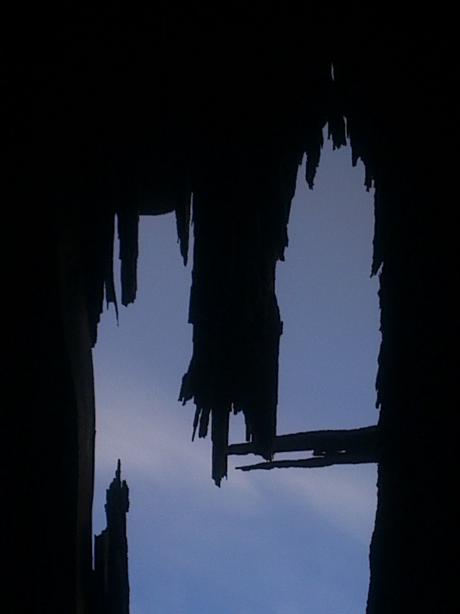 THE HIGHER CONCIOUSNESS