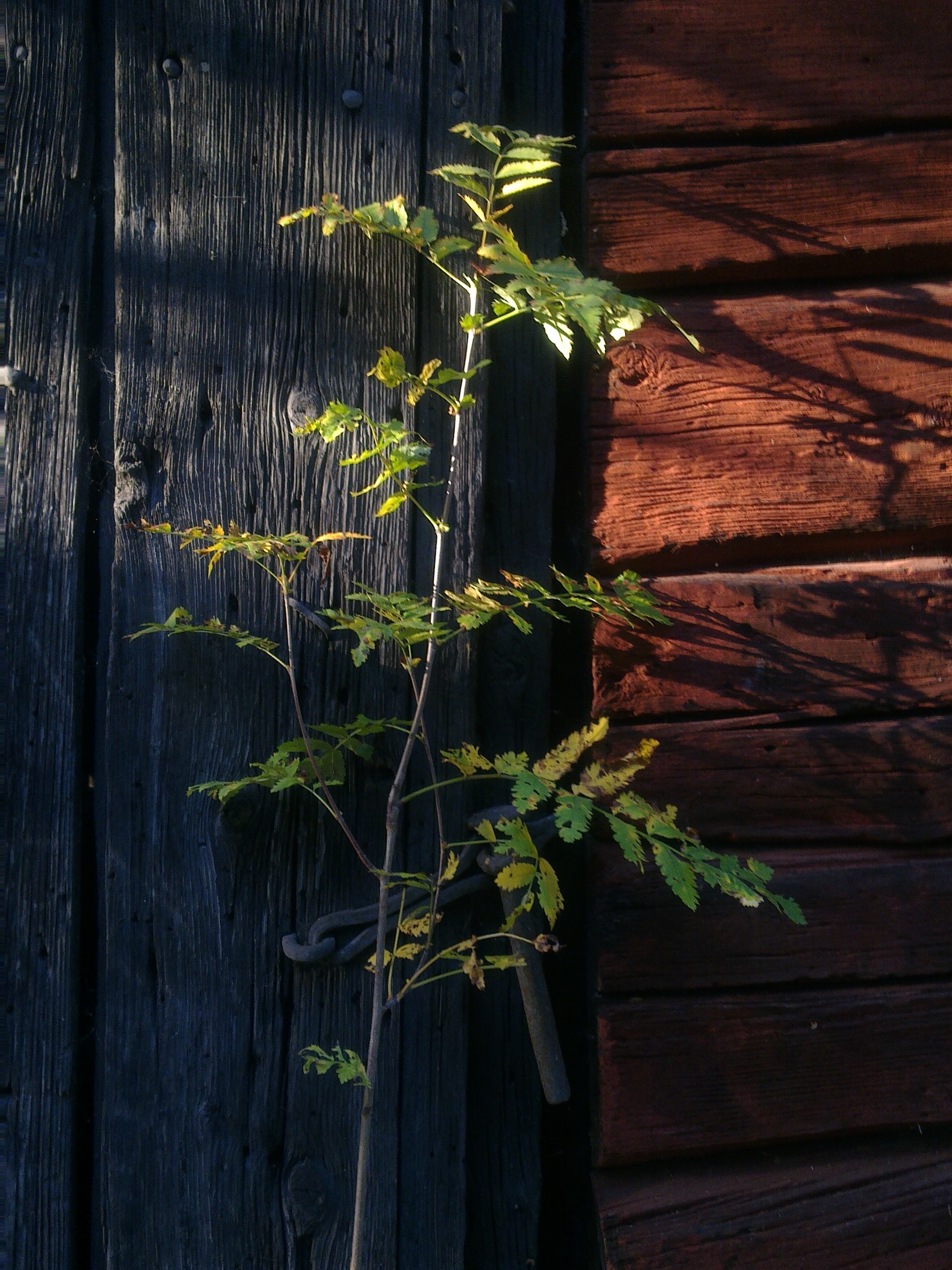 door-to-a-hillside-smith