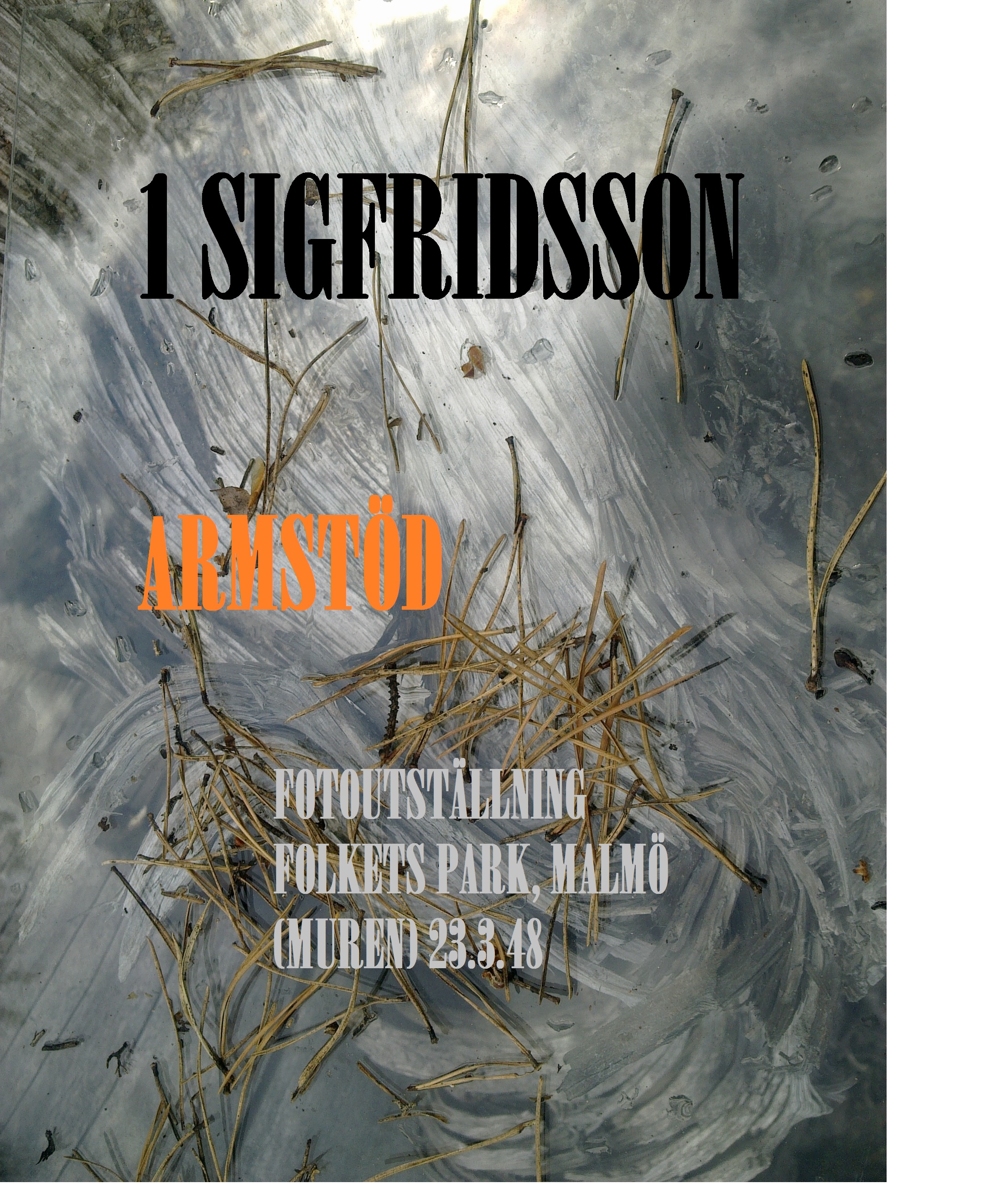 1 S ARMSTÖD FOTOUTSTÄLLNING