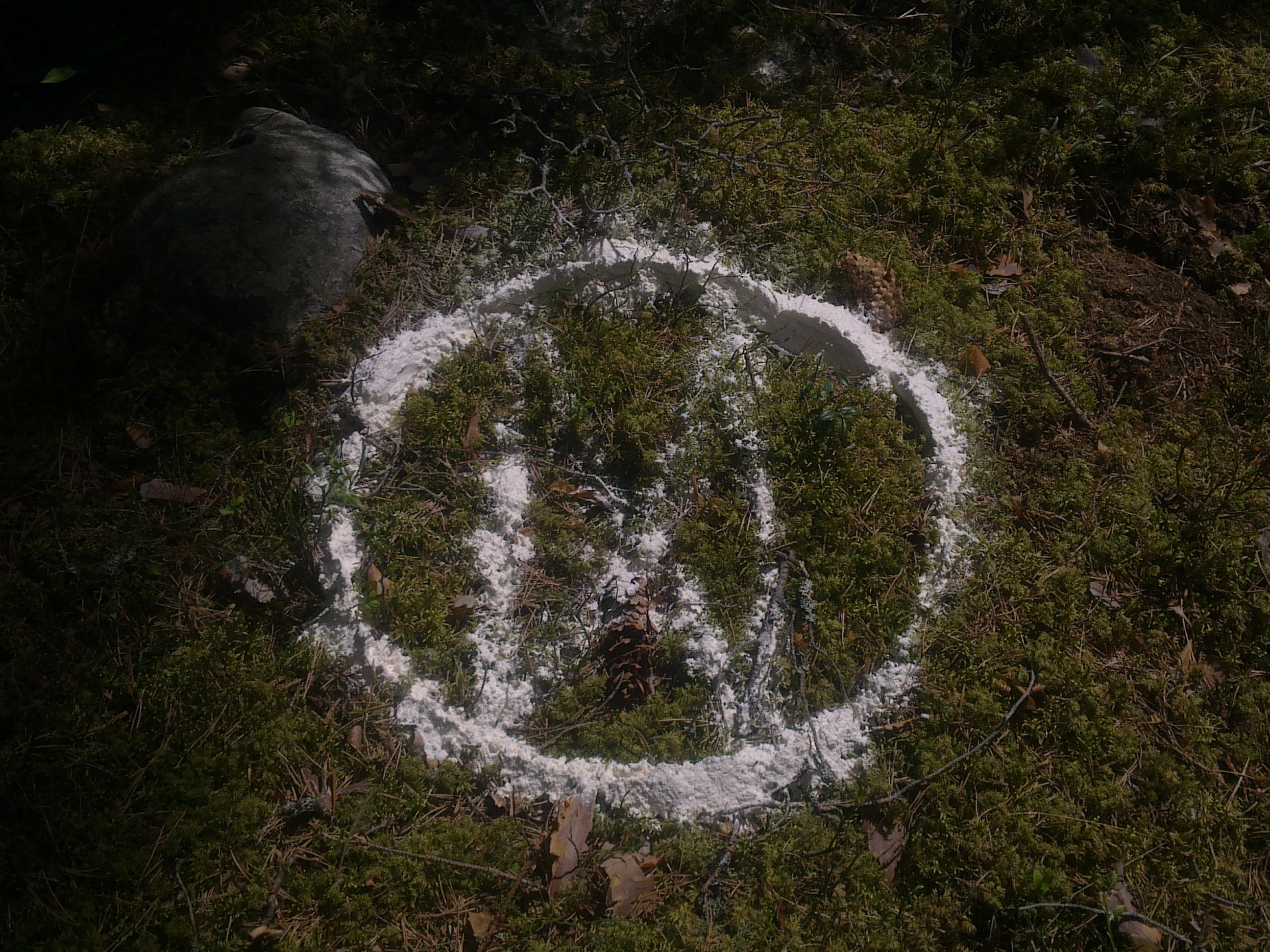 NYGAMMAL OCH NORMAL UPPLYSNING