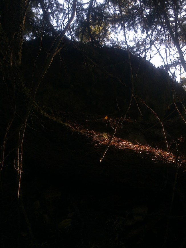 RECOVER LIFE_S HEART