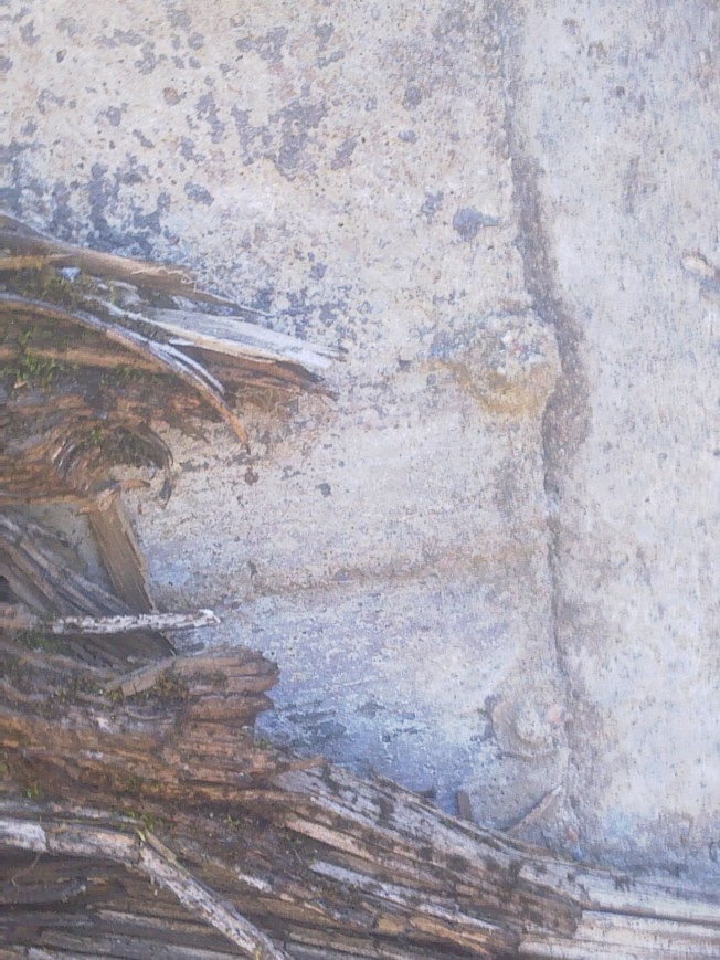 VÅRA LIV, PROBLEM OCH SJÄLVKLARHETER